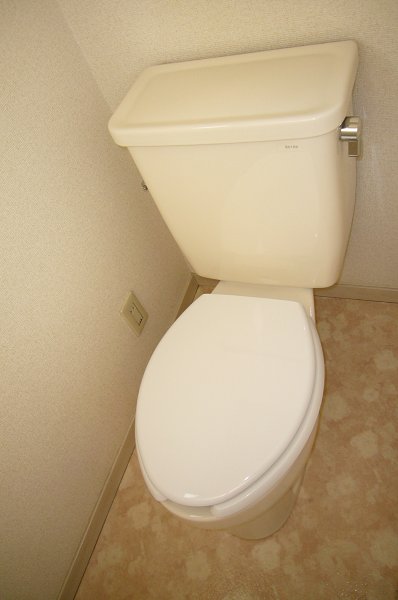 Toilet. Toilet