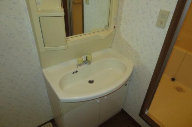 Washroom. Wash basin