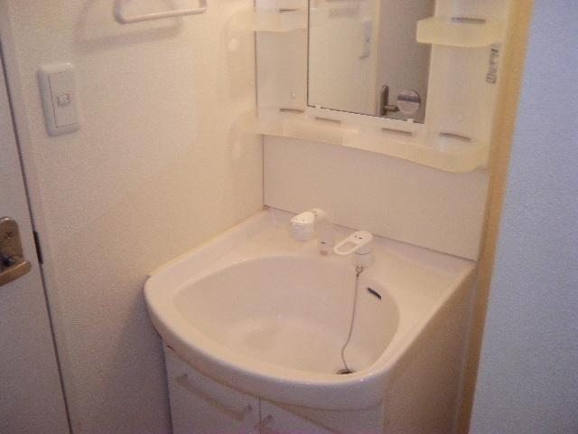 Washroom. Shampoo dresser