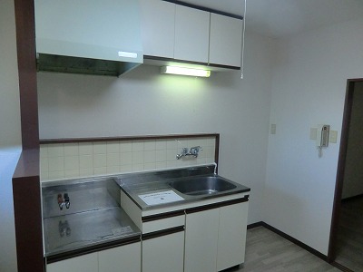 Kitchen. Kitchen sink