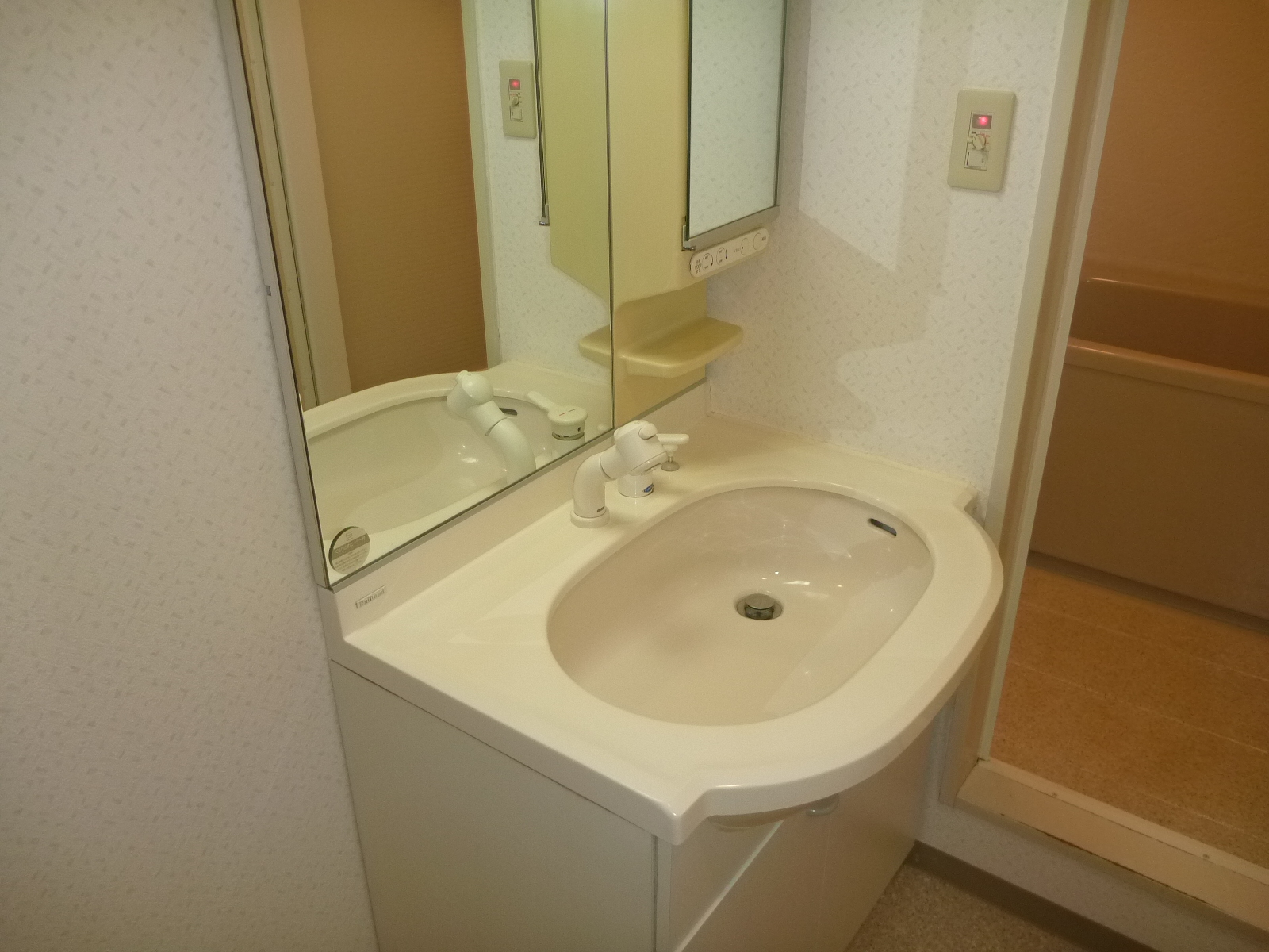 Washroom. Shampoo dresser