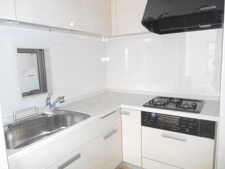 Kitchen. Indoor (12 May 2013) Shooting