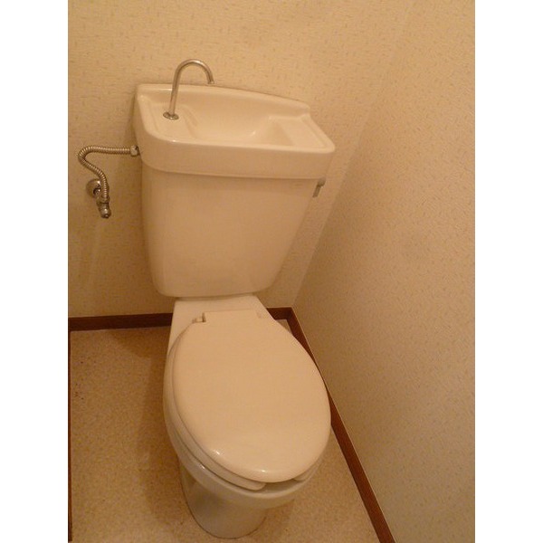 Toilet. Separate photo