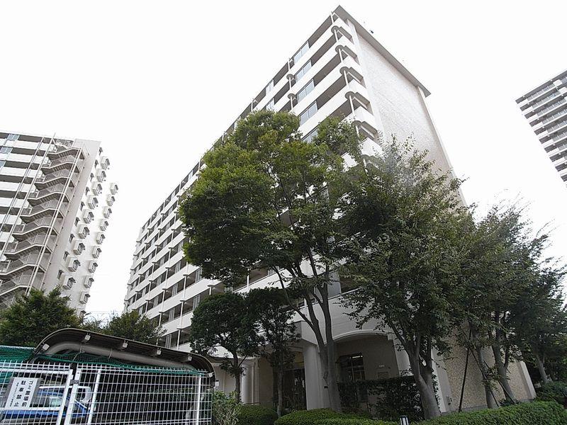 Local appearance photo. September 2013 late shooting