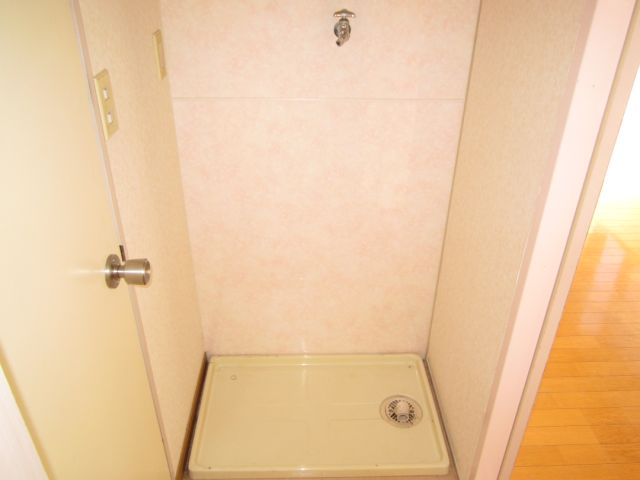 Other room space. Indoor Laundry Storage