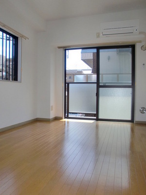 Living and room. Two-sided lighting Western-style