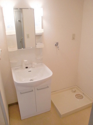 Washroom. Basin dressing room of the functional arrangement