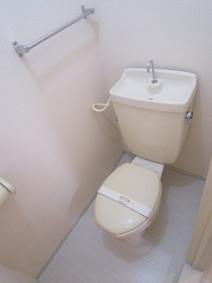 Toilet. Towel with over