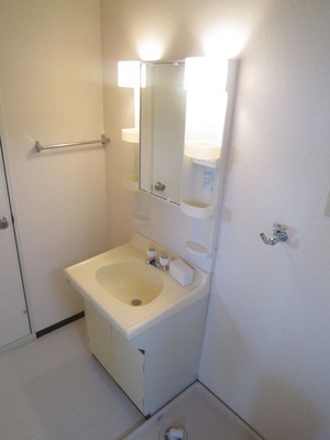 Washroom. Independent wash basin & amp; indoor washing machine Storage
