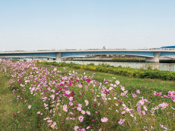 Surrounding environment. Ichinoe green space (8-minute walk / About 610m)