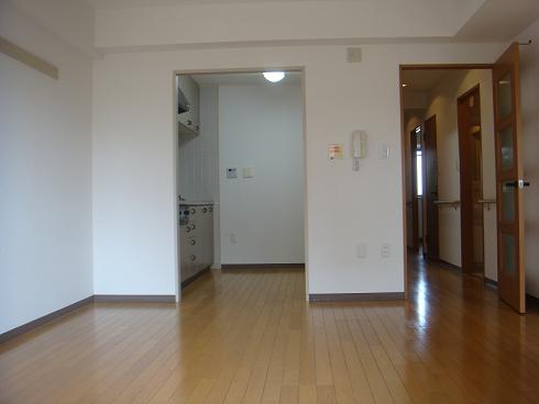 Living and room. LDK