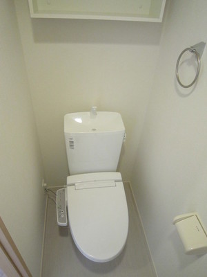 Toilet. Shelved at the top