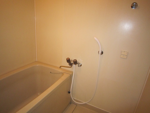 Bath. Bathroom photo