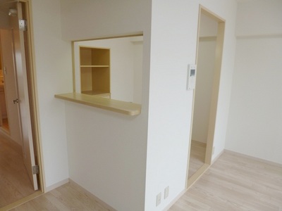 Other. There are counter