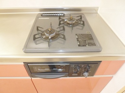 Other. 2-neck is a gas stove
