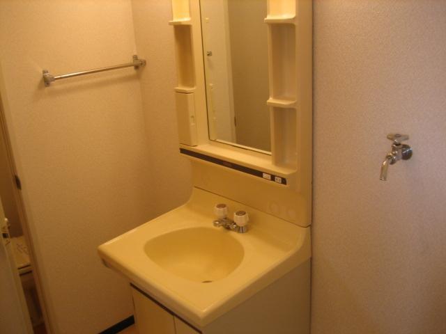 Washroom. Bathroom vanity