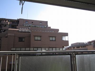 Other introspection. Western-style 6 Pledge