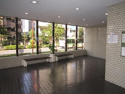 Other introspection. Entrance