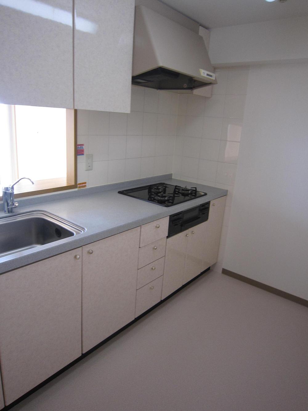 Kitchen. Indoor (10 May 2013) Shooting