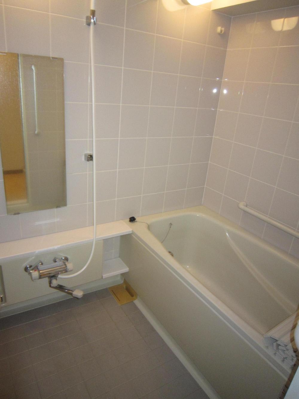 Bathroom. Indoor (10 May 2013) Shooting