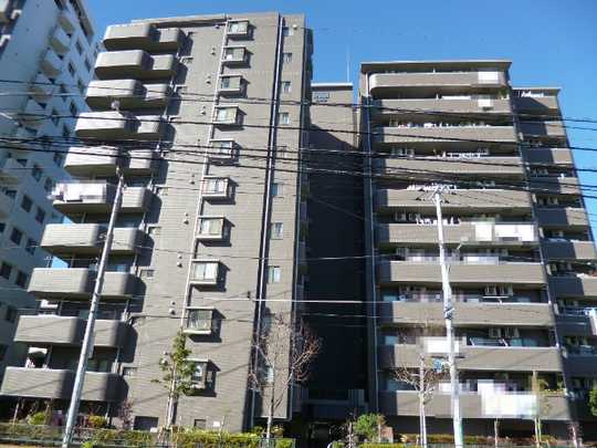 Local appearance photo. Appearance (1)