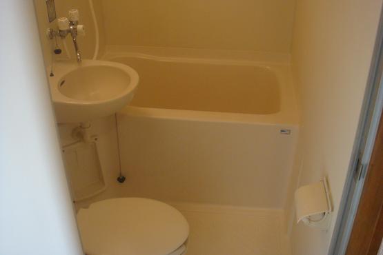 Bath. Western style room