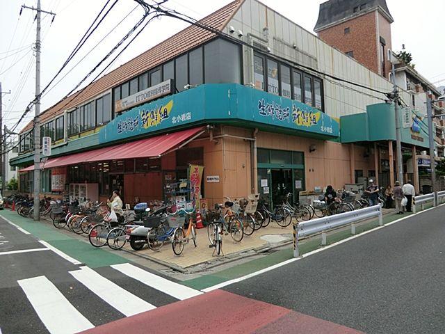 Other. Foods Market Selection