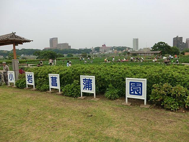 Other. Koiwa iris garden