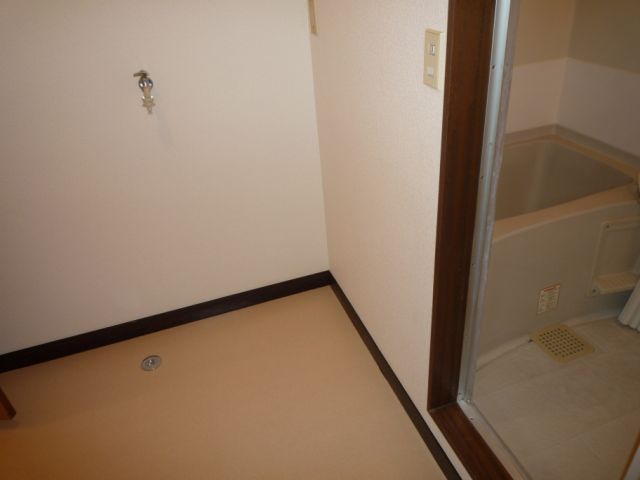 Other room space. Laundry Area