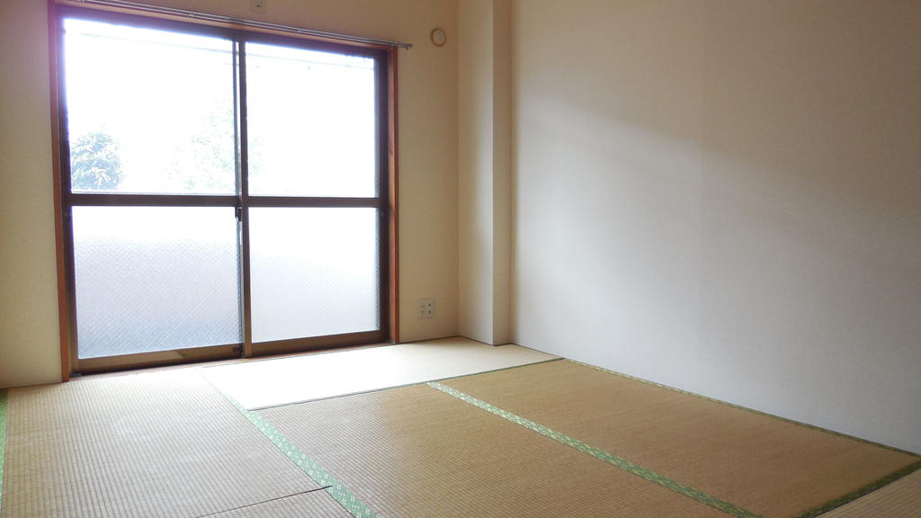 Living and room. Day is good. 