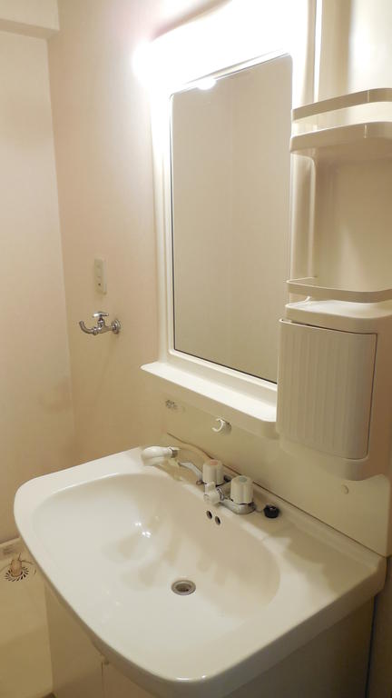 Washroom. Washbasin with shower