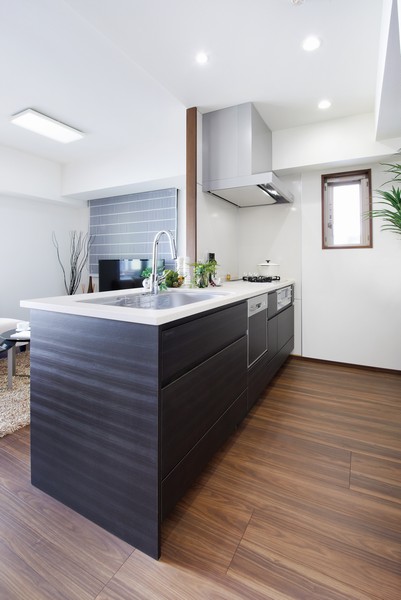 Open face-to-face kitchen. Dish washing and drying machine, Stylish mixing faucet, Comfortable specification packed, such as easy to enamel kitchen panel of cleaning