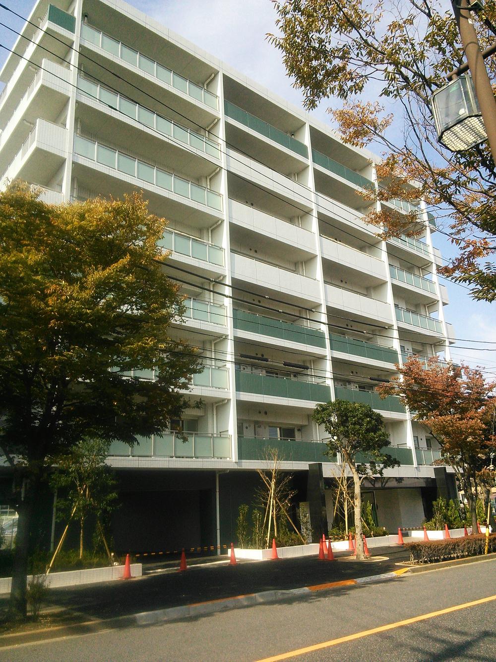 Local appearance photo. Local (11 May 2013) Shooting