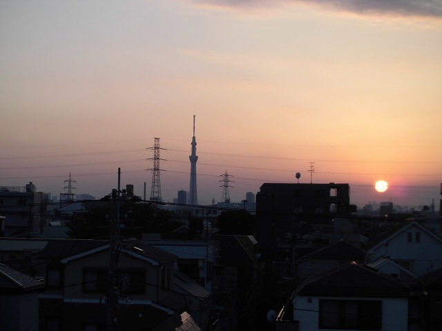 Other. The view from the rooftop