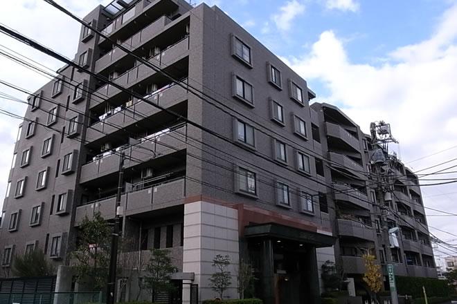 Local appearance photo. Local (10 May 2012) shooting