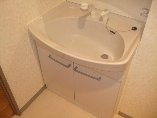 Washroom. Shampoo dresser