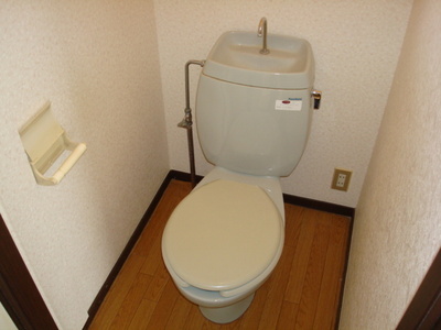 Toilet. Toilet