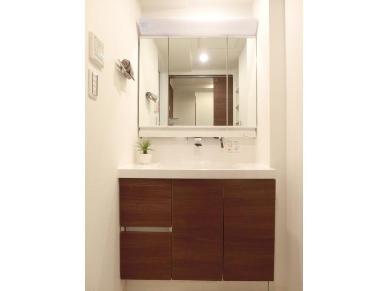 Wash basin, toilet. Bathroom vanity