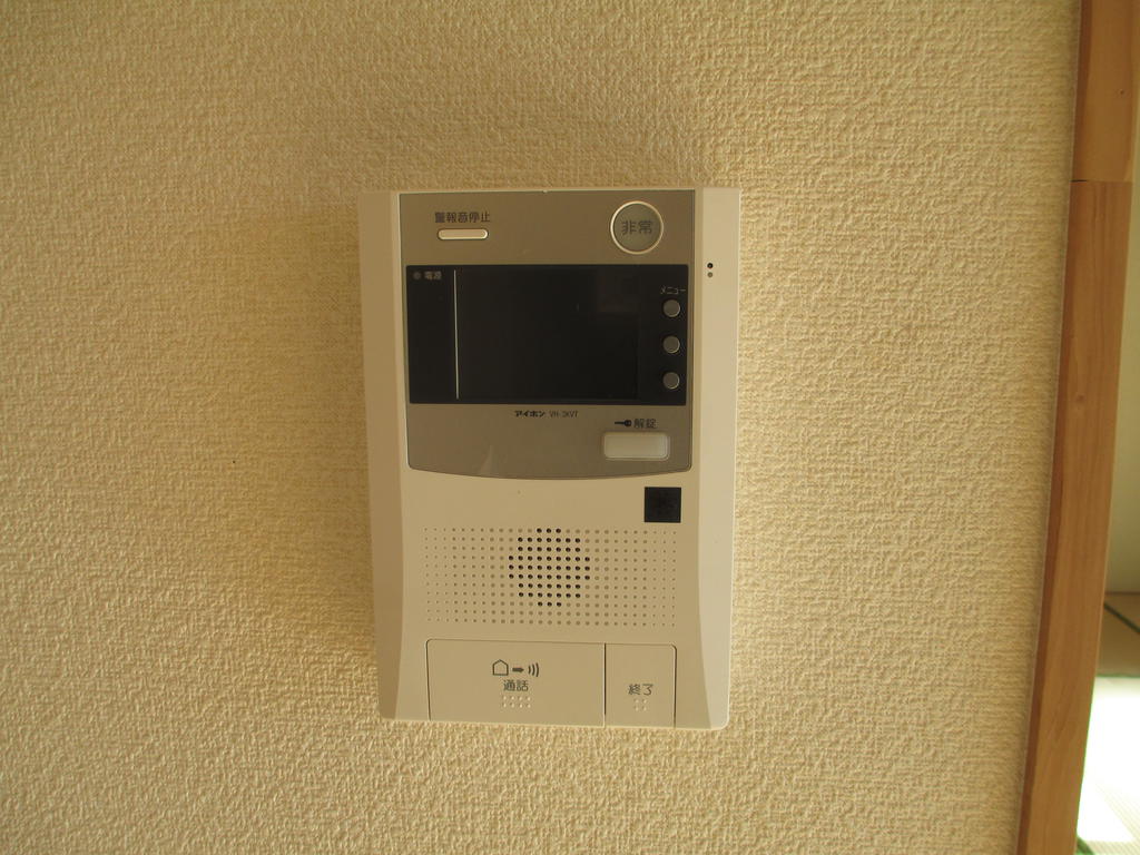 Security. TV monitor interphone