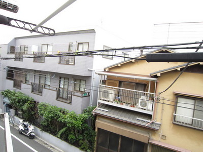 View. The view from the window