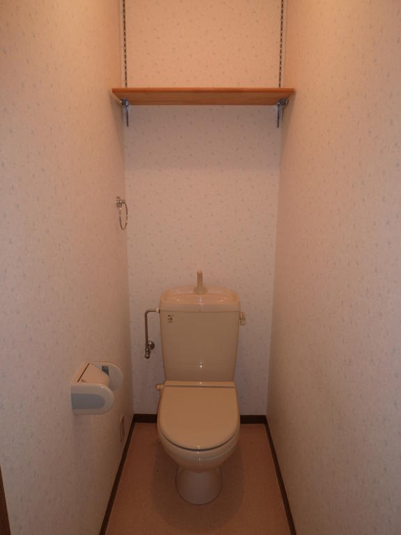 Toilet. Storage is equipped with shelves