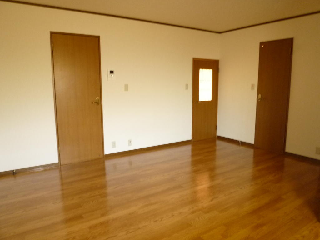 Living and room. From the kitchen side