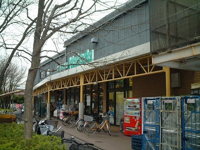 Supermarket. 200m to HOTODA (super)