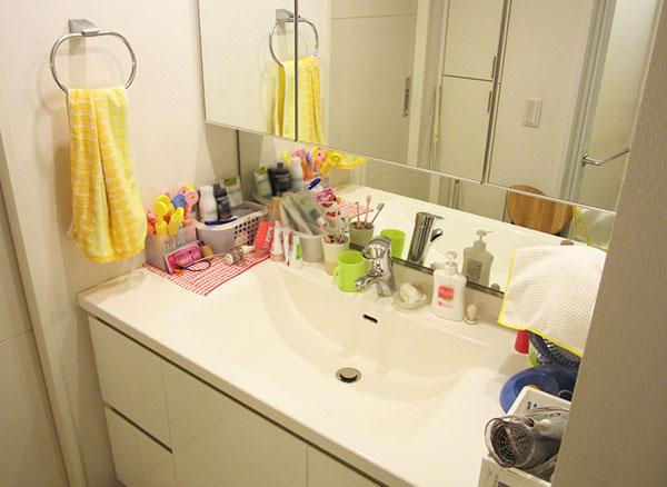 Edogawa-ku, Tokyo Yagochi 2