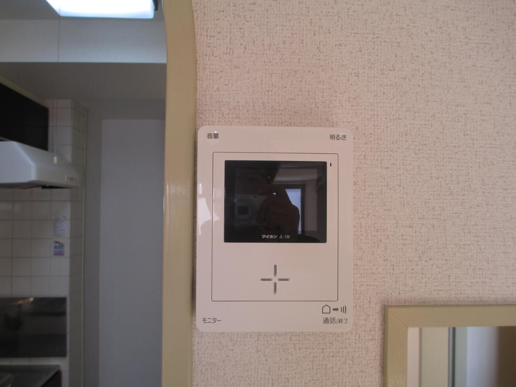 Security. TV monitor interphone