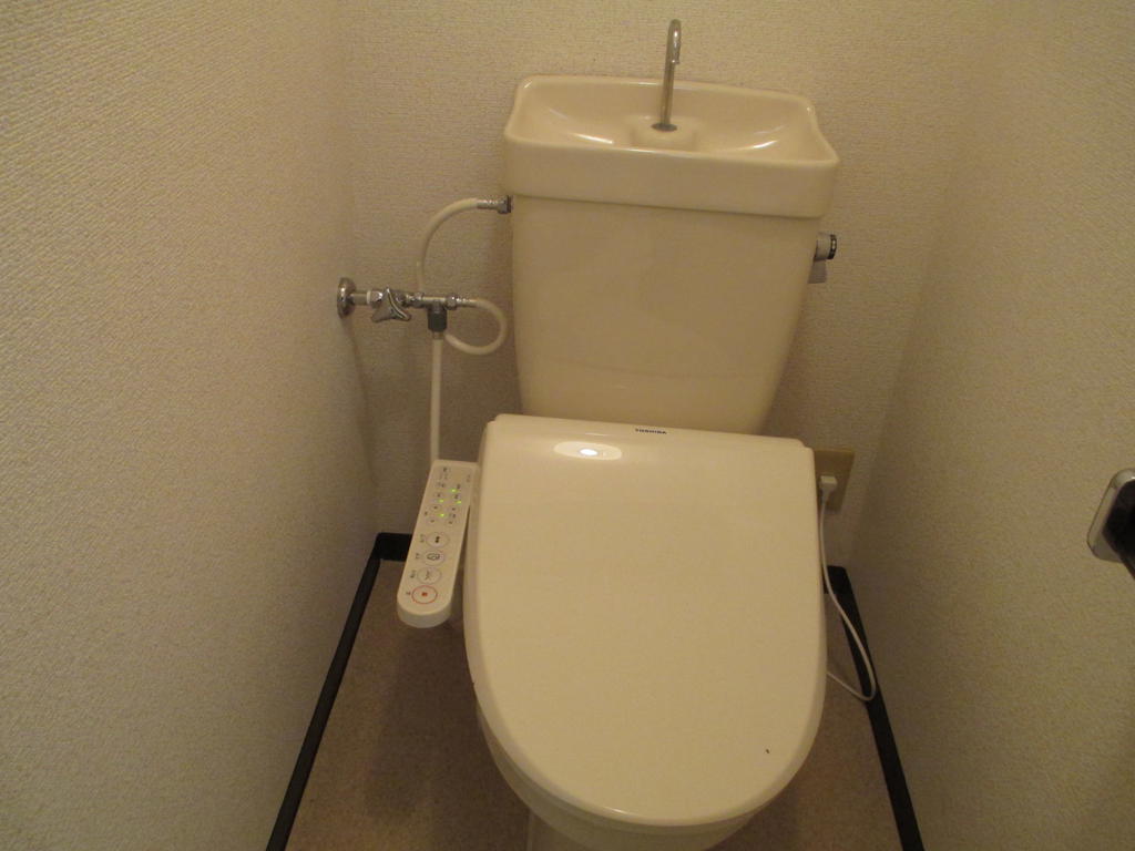 Toilet. Toilet