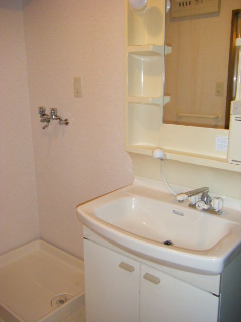 Washroom. This basin