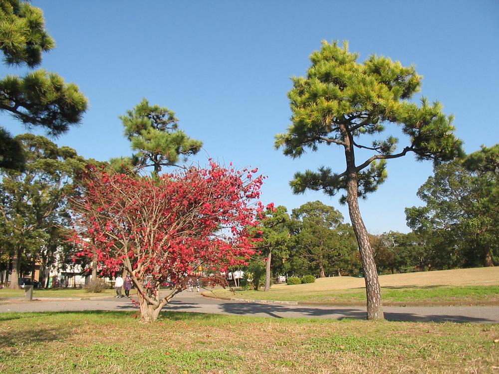 park. 80m to Shinozaki park