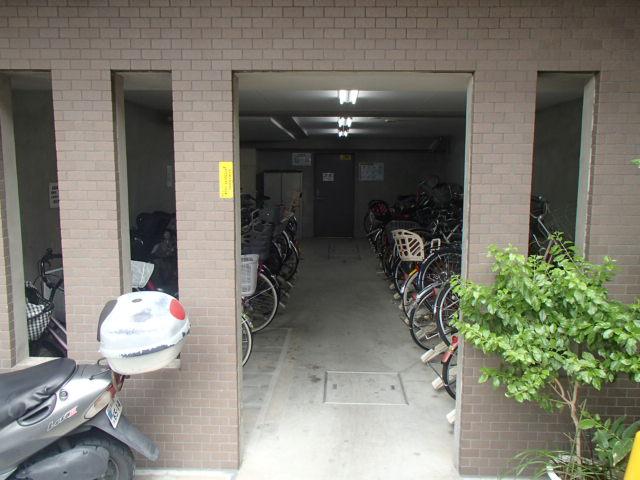 Parking lot. Common areas