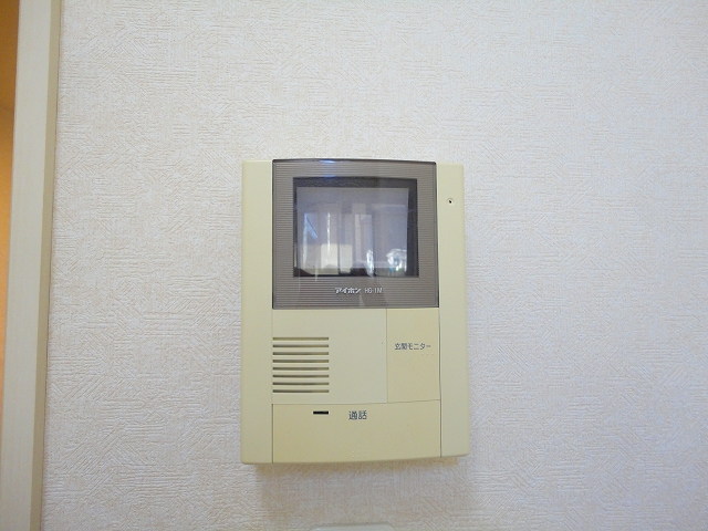 Security. TV monitor interphone